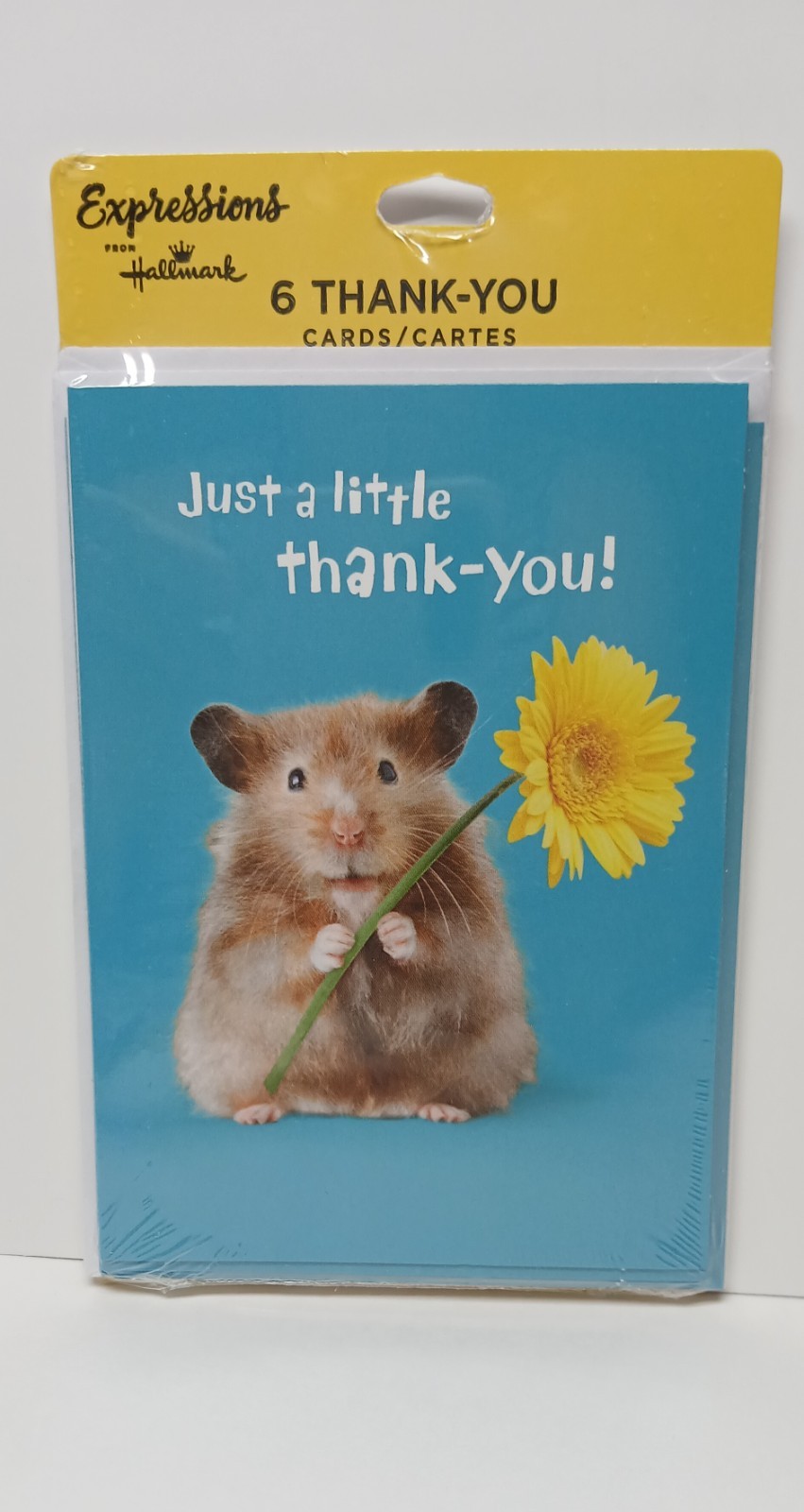 Expressions Hallmark Blank Note Cards Set Of 6 Cute Hamster Holding A Flower