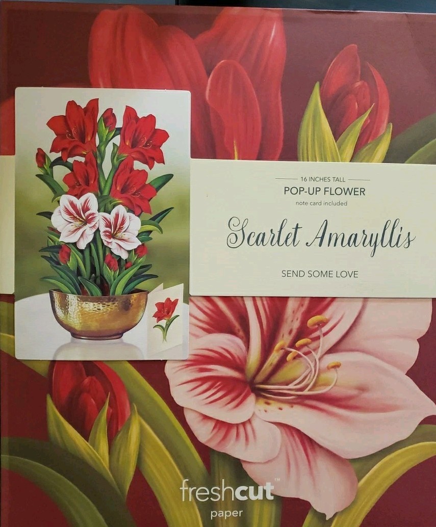 Freshcut Paper Life Sized 16 inch Pop Up Cards, Scarlet Amaryllis Flower Bouquet