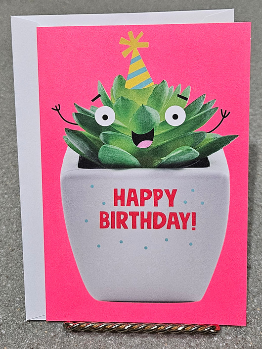 Birthday Card w Envelope Funny Adult Bday Blue Red Green Succulent Humor