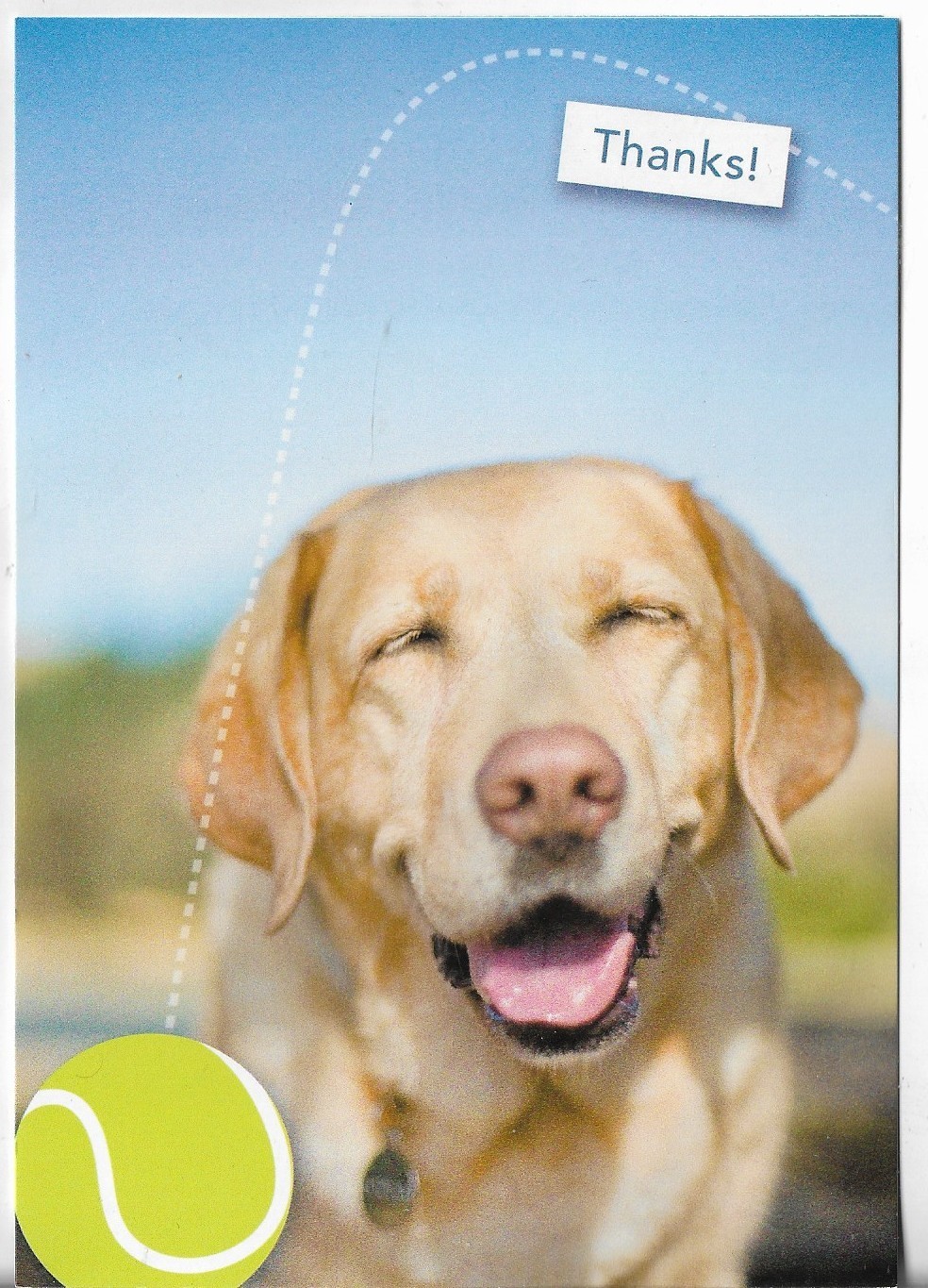 NEW LEANIN TREE CARD 4.5×7 THANKS! I’m Still Smiling! Yellow Lab w/Tennis Ball
