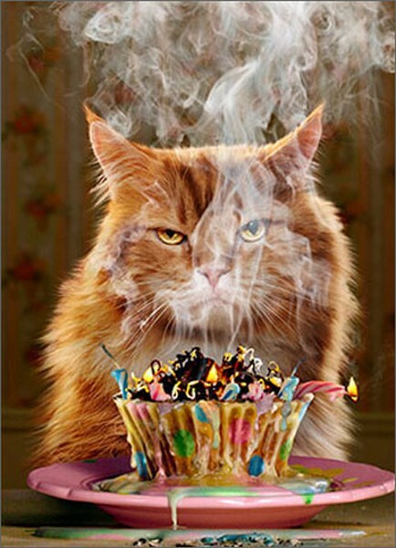 Birthday Cupcake Funny Birthday Card – Greeting Card by Avanti Press