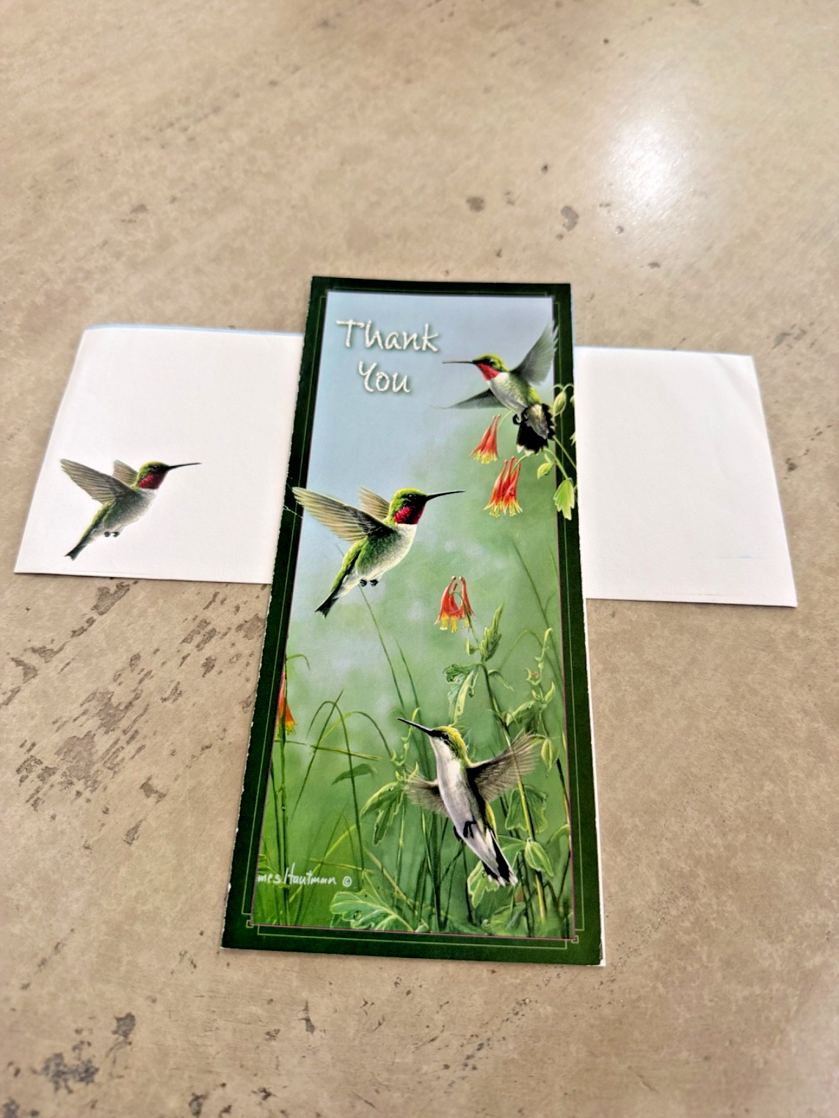 His Delight! Greetings Hummingbird Thank You Greeting Card