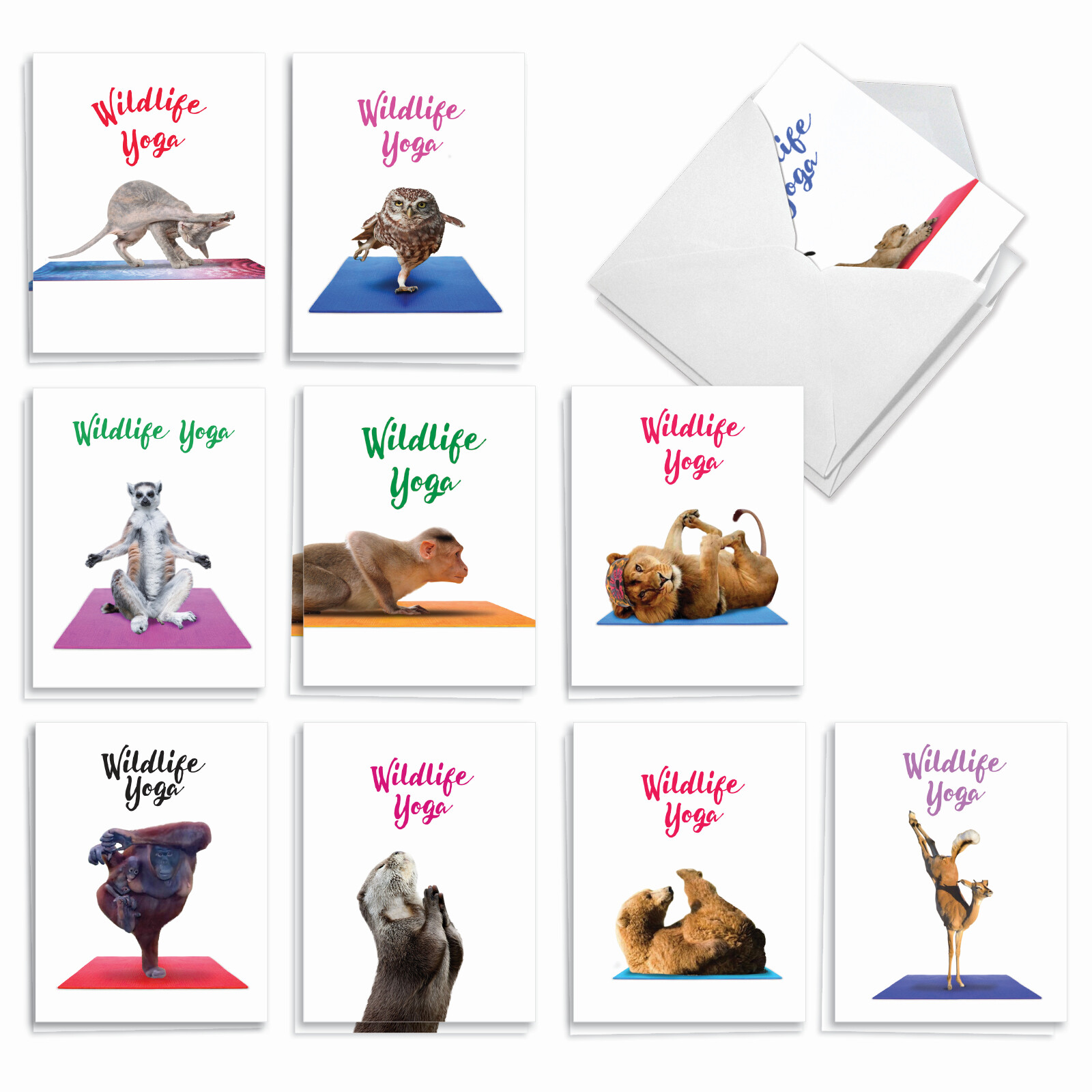 20 Blank All Occasion Cards (10 Designs, 2 Each) – Wildlife Yoga AM7030OCB-B2x10