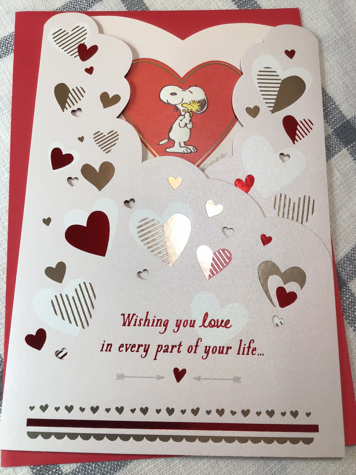 SOMEONE SPECIAL Hallmark Happy Valentine’s Day Card SNOOPY Peanuts Family Friend