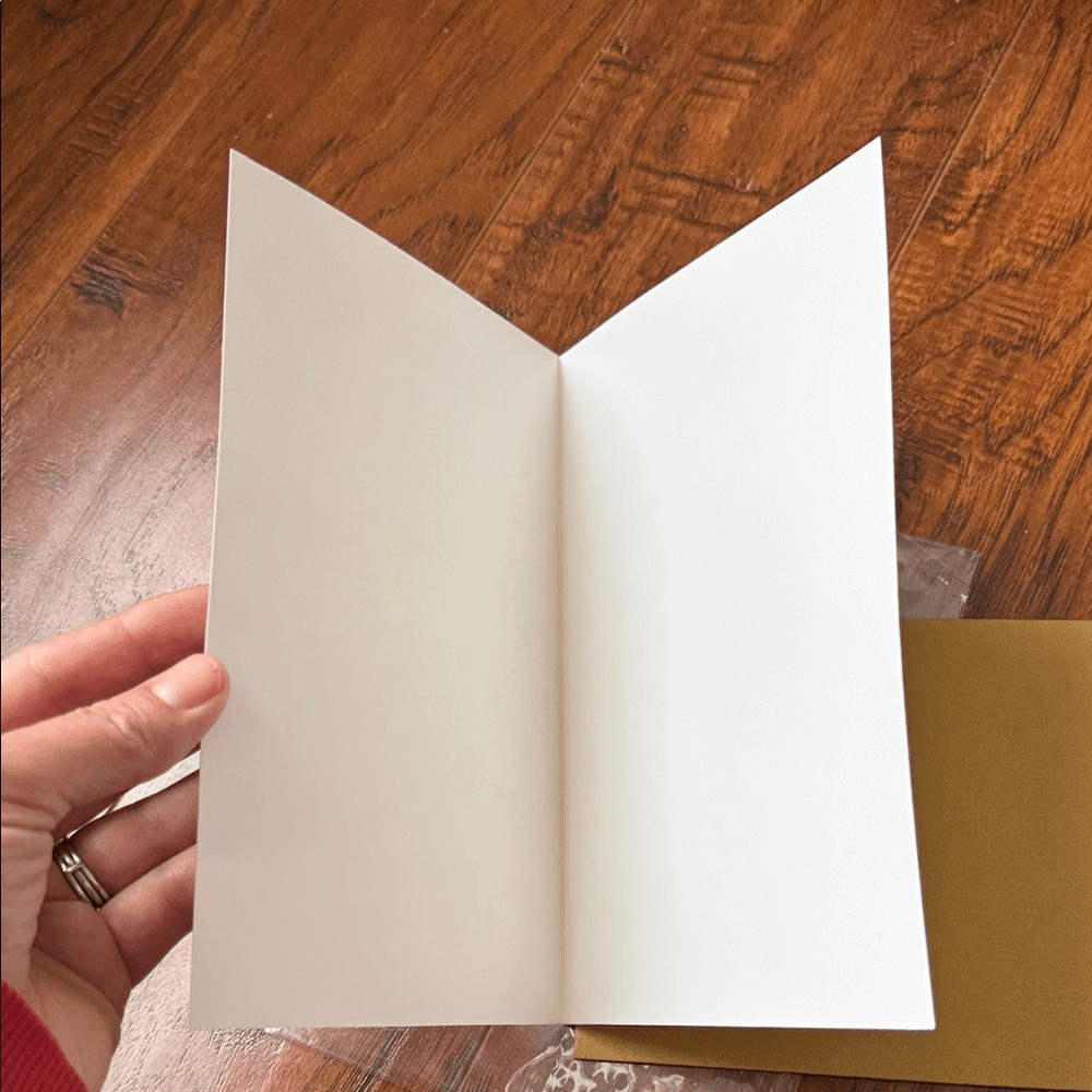 To a Special Son and Daughter-in-Law Christmas Holiday Blank Card Gnomes