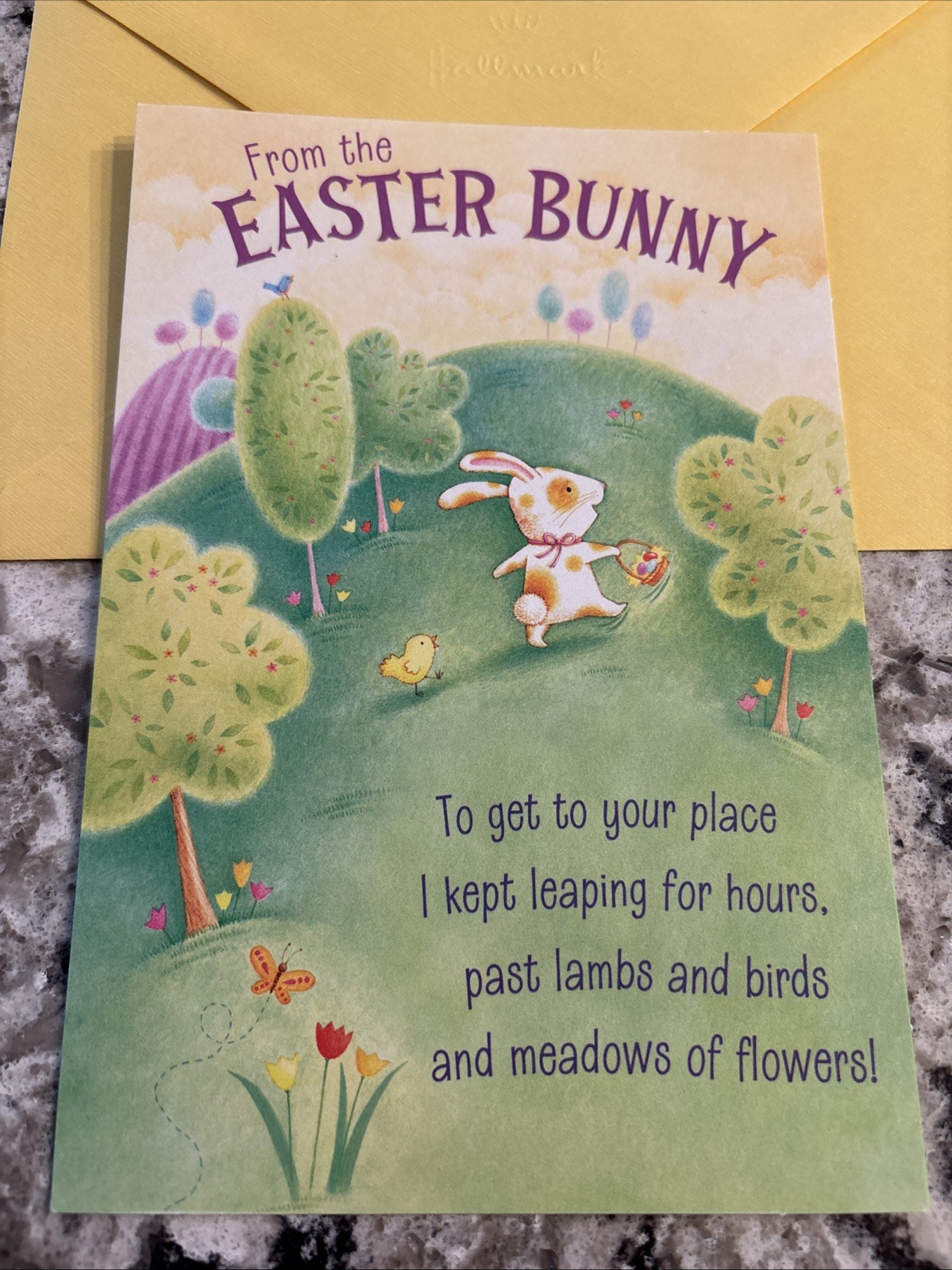 From The Easter Bunny 🐣 5”x7” Hallmark Greeting Card