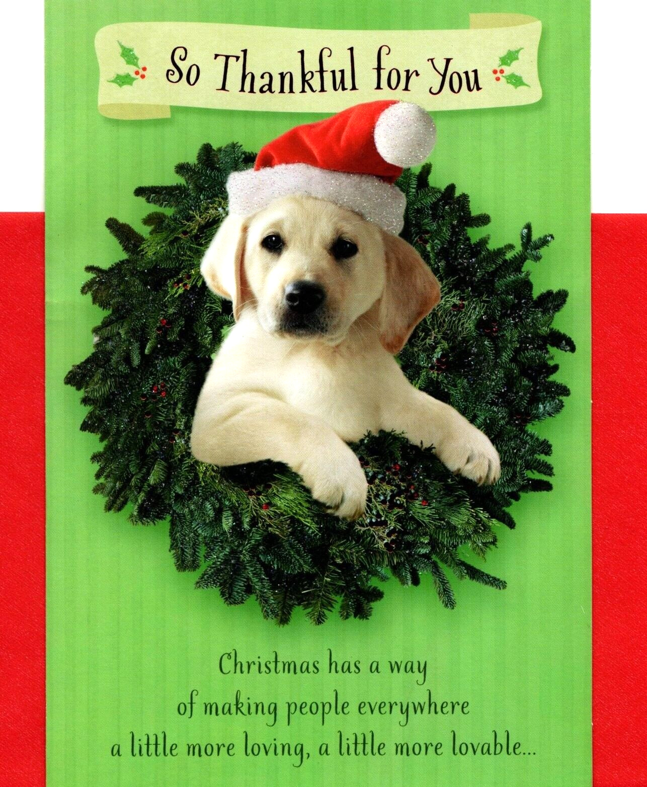 Merry Christmas Dog Mom Dad Yellow Lab Labrador Dog Hallmark Greeting Card