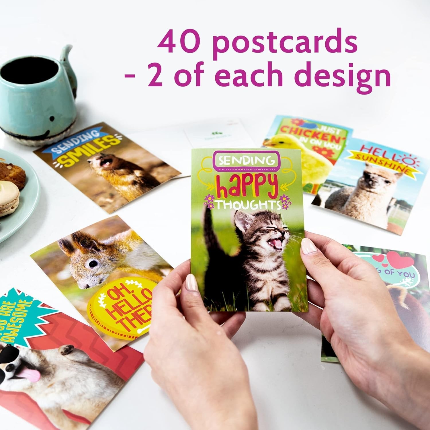 40 Funny Animal Postcards – Bulk Thinking of You Postcard Pack for Kids Students