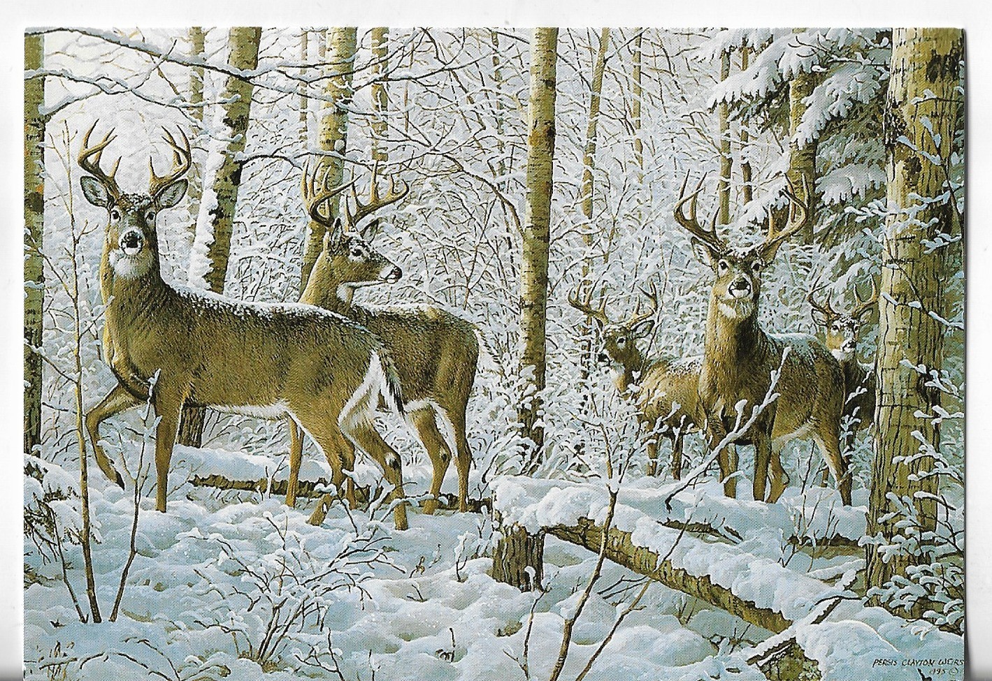 NEW LEANIN’ TREE Christmas Card 7.25×5.5 Deer Bucks Standing in the Snow Woods