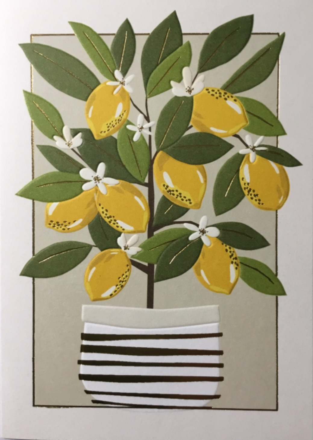 NIQUEA.D- Birthday- Lemon Tree- Embossed, Foil- SRP 7.95- By Creators of Papyrus