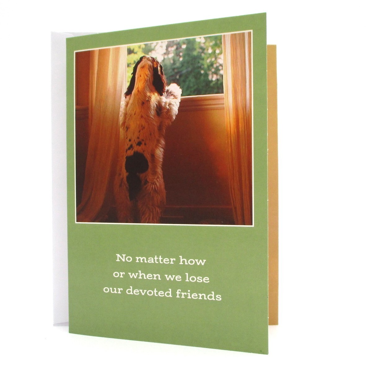 Pet Sympathy Card “No matter how..” with Scripture, Loss of Dog. Loss of Pet, 1V