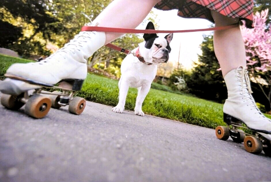 Unused Blank ROLLER SKATES French BULLDOG Greeting Card Dog Photo 2010