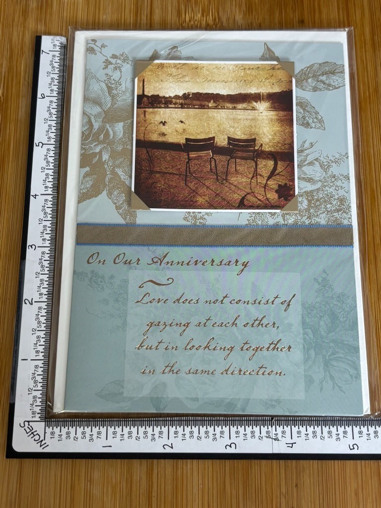 Papyrus Greeting Card New Envelope Embellishment Anniversary On OUR Love YOU