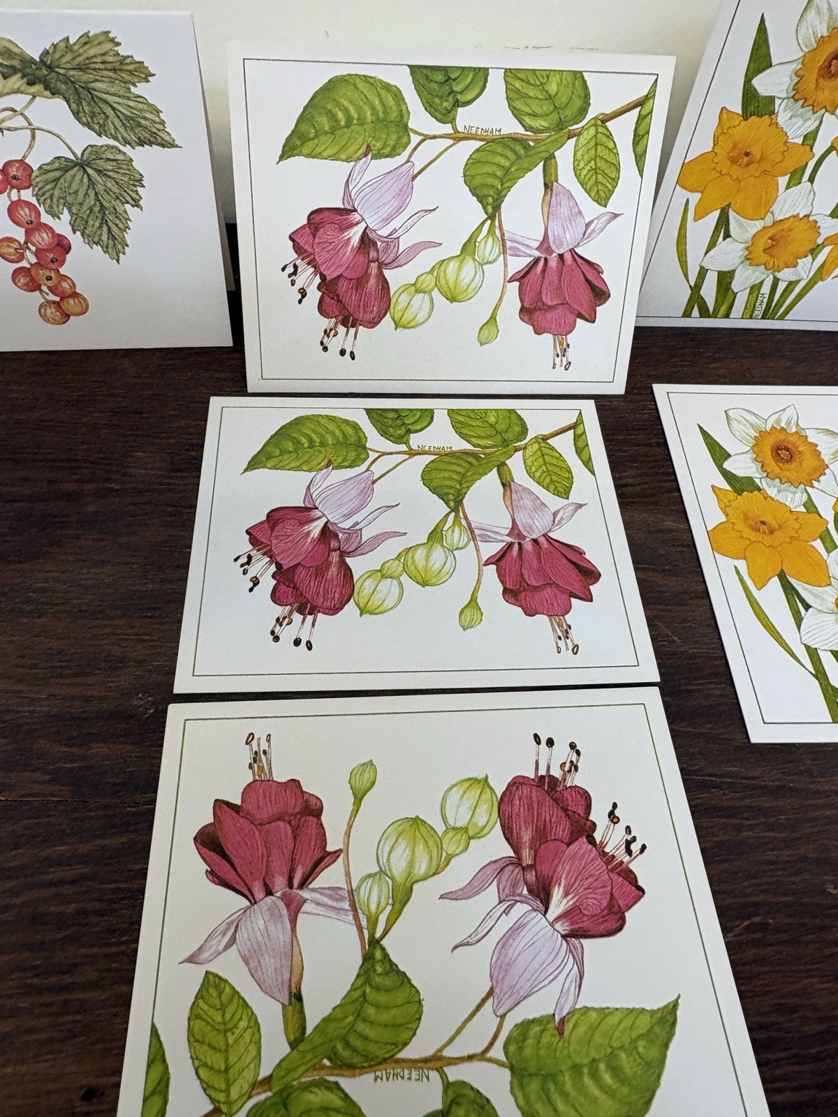 Vintage Current Notecards Blank 7 Garden Glory, Berry & Jam w/envelopes