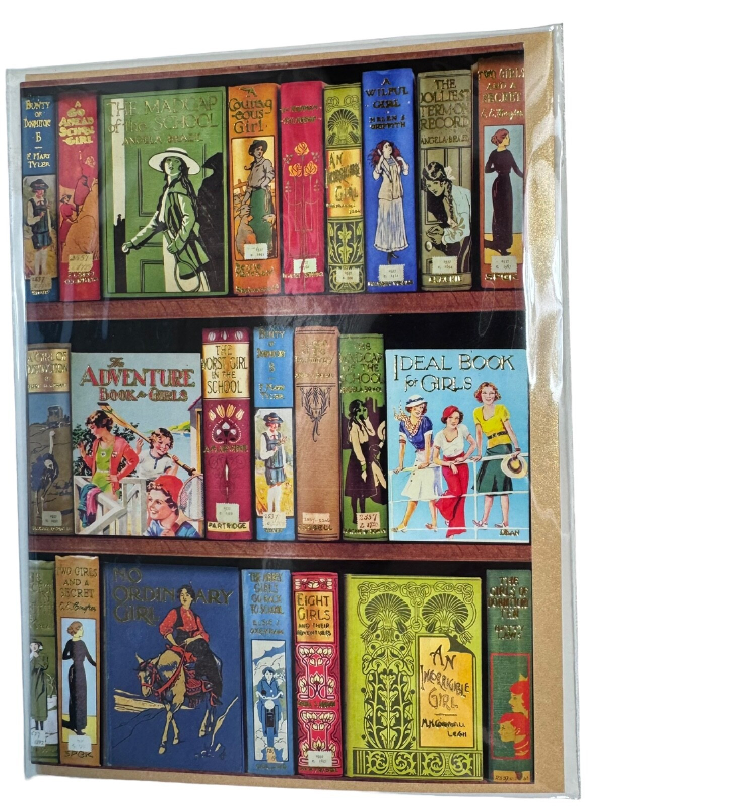 Bodeian Libraries Girls Adventure Book BLANK Greeting Card by Flame Tree Retro