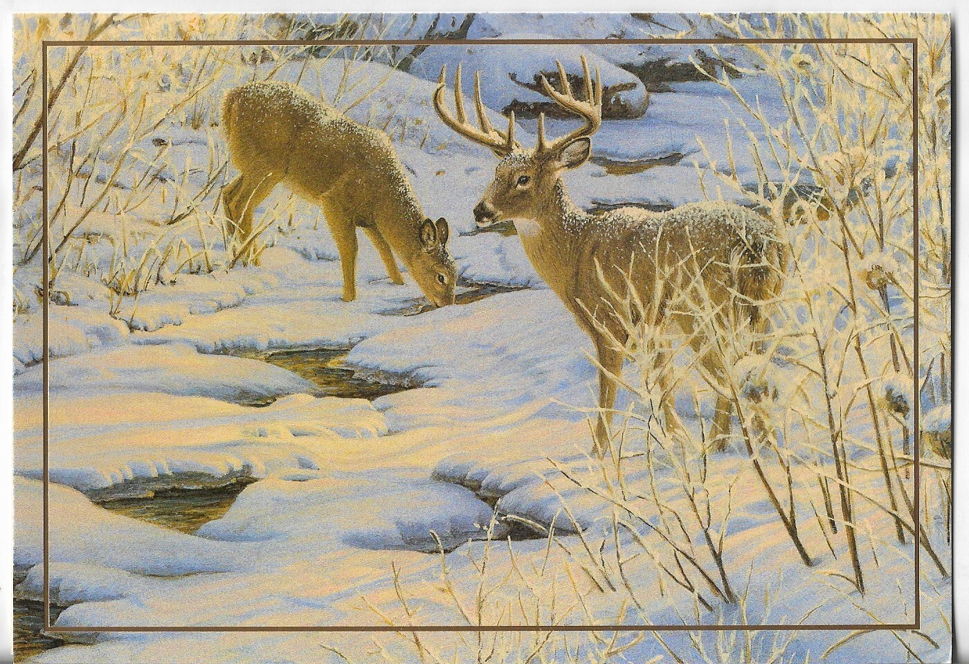 NEW LEANIN’ TREE Christmas Card 4.75×6.75 A Buck & Doe Standing in the Snow Gold