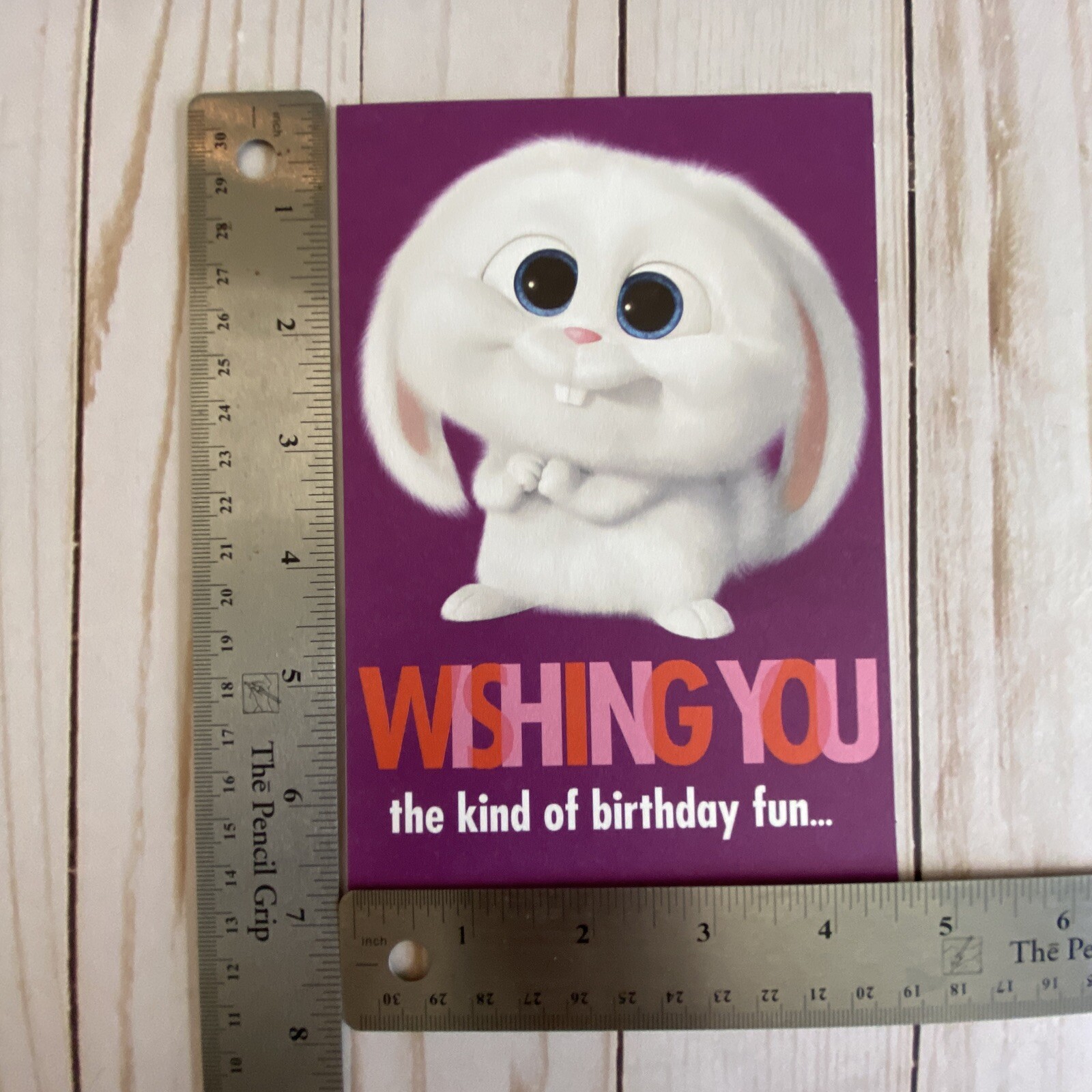 Secret Life of Pets Snowball Rabbit Happy Birthday Card Fun That Can’t Be Tamed