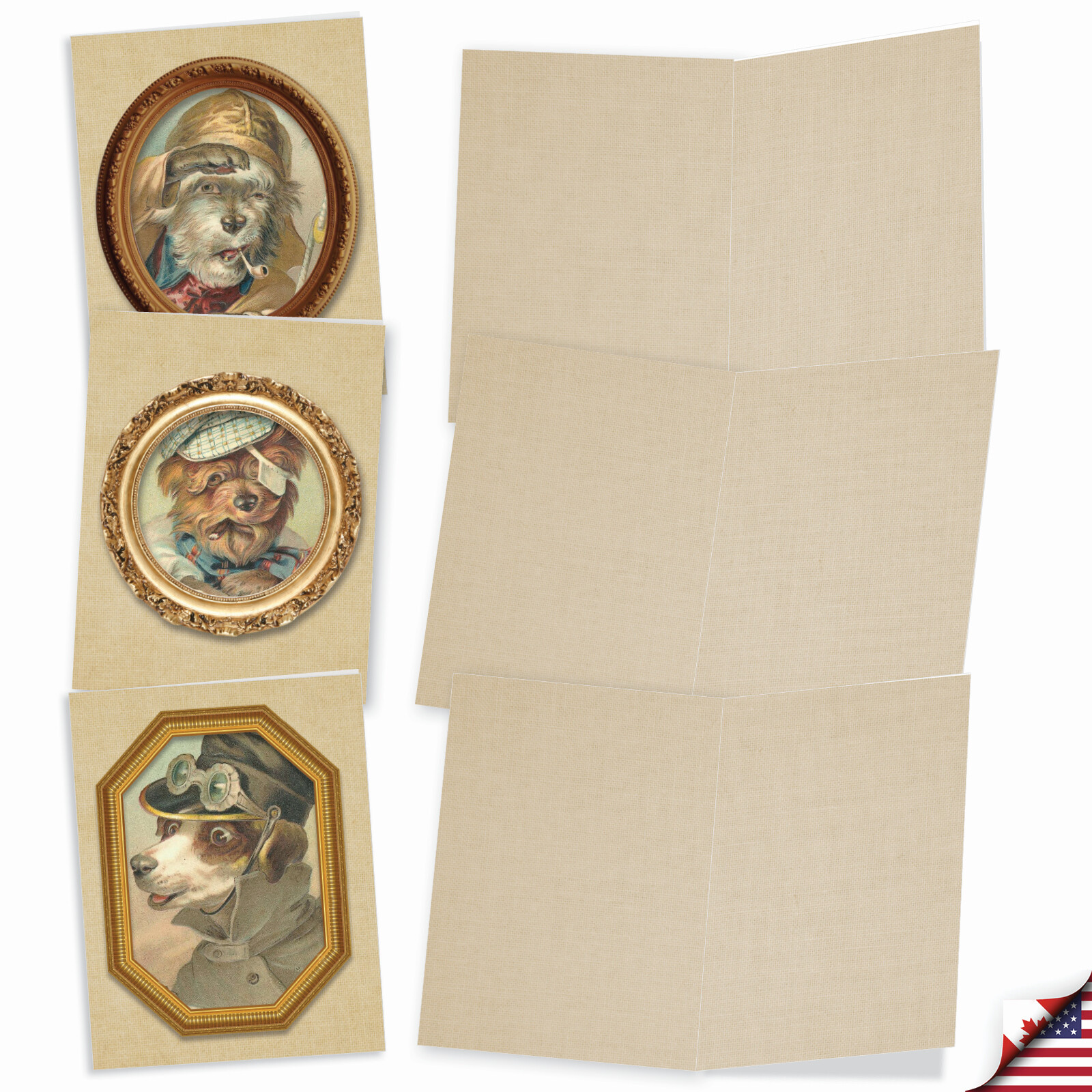 10 Assorted All Occasion Blank Note Cards with Envelopes – PUP PORTRAITS M1738BN