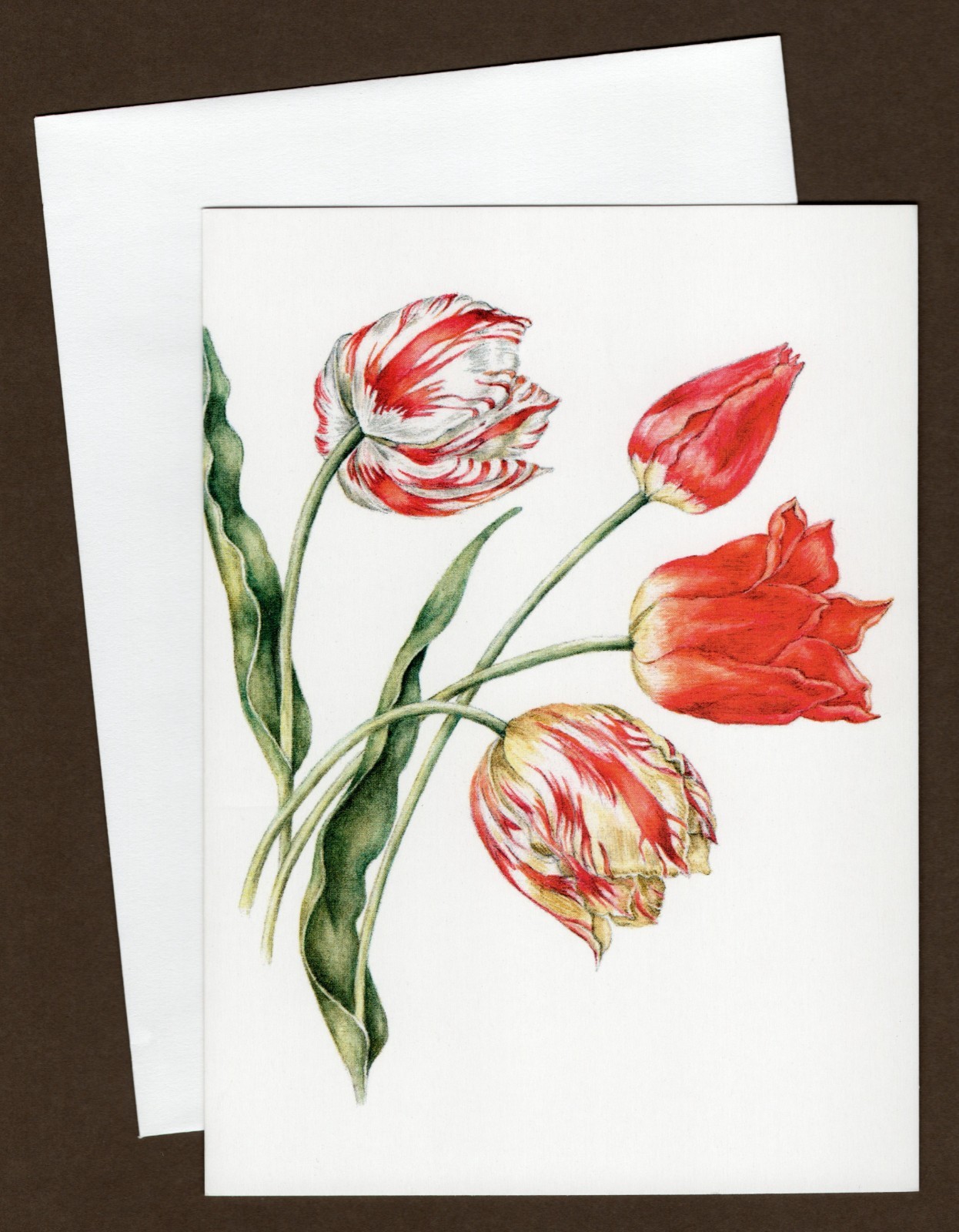 Red Tulips Colonial Williamsburg Greeting Card, Blank Inside, Floral/Flowers