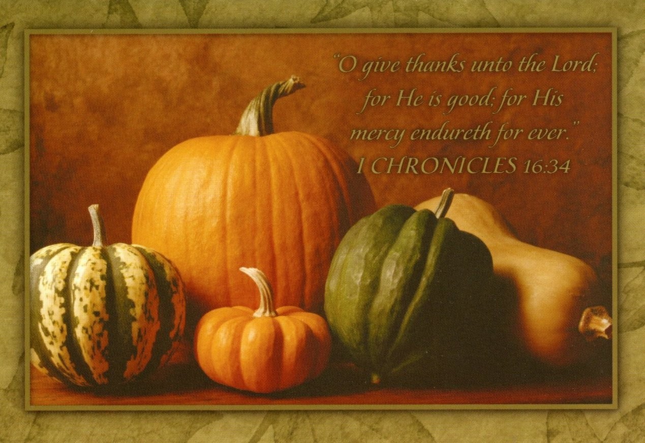 Happy Thanksgiving Rejoice Pumpkin Gourd Gourds Dayspring Greeting Card