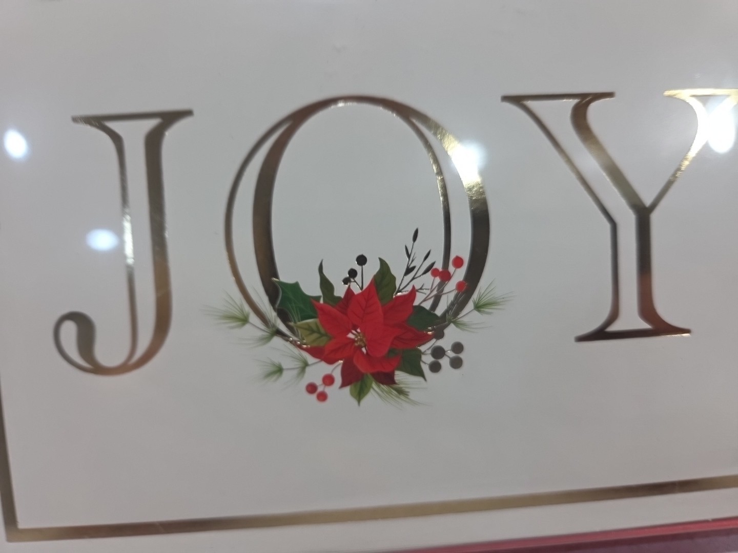 Christmas Cards Joy Poinsettia Box Of 10 Blank Inside 5” X 7” Recollections NIB