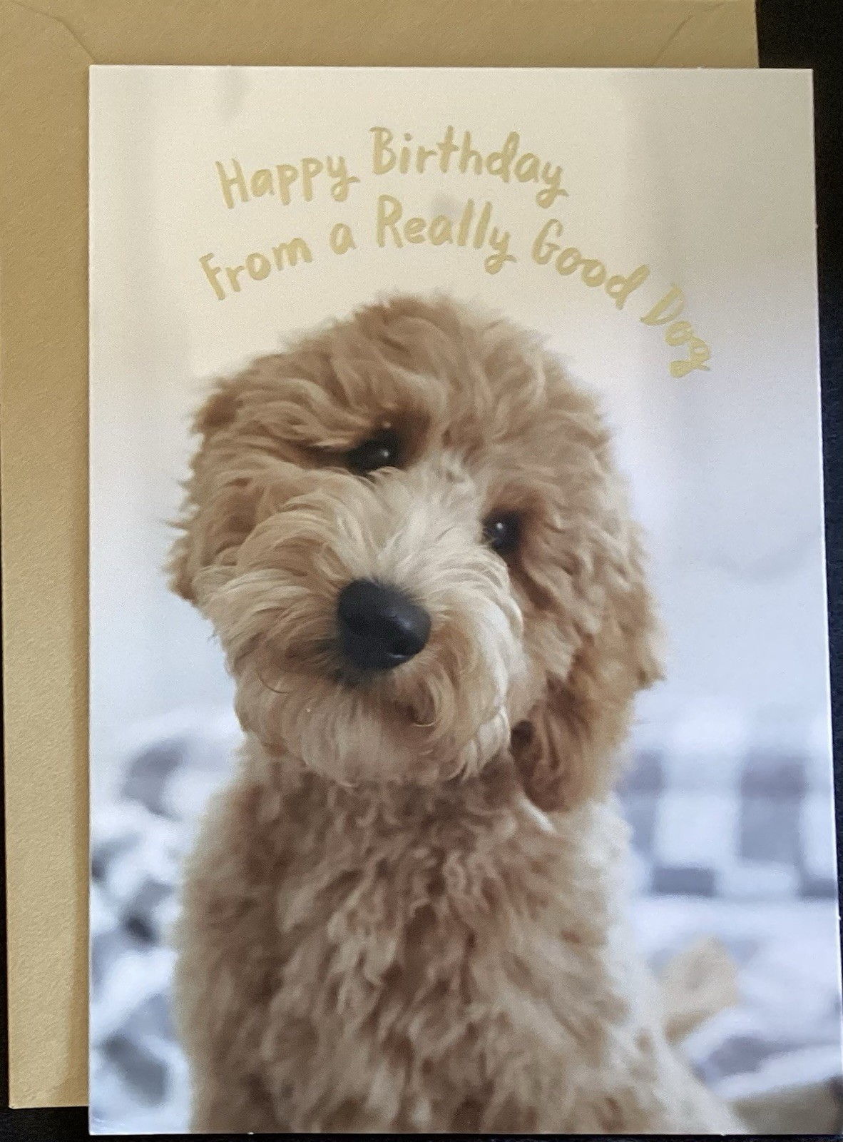 Happy Birthday From The Dog Card Hallmark Greeting Card
