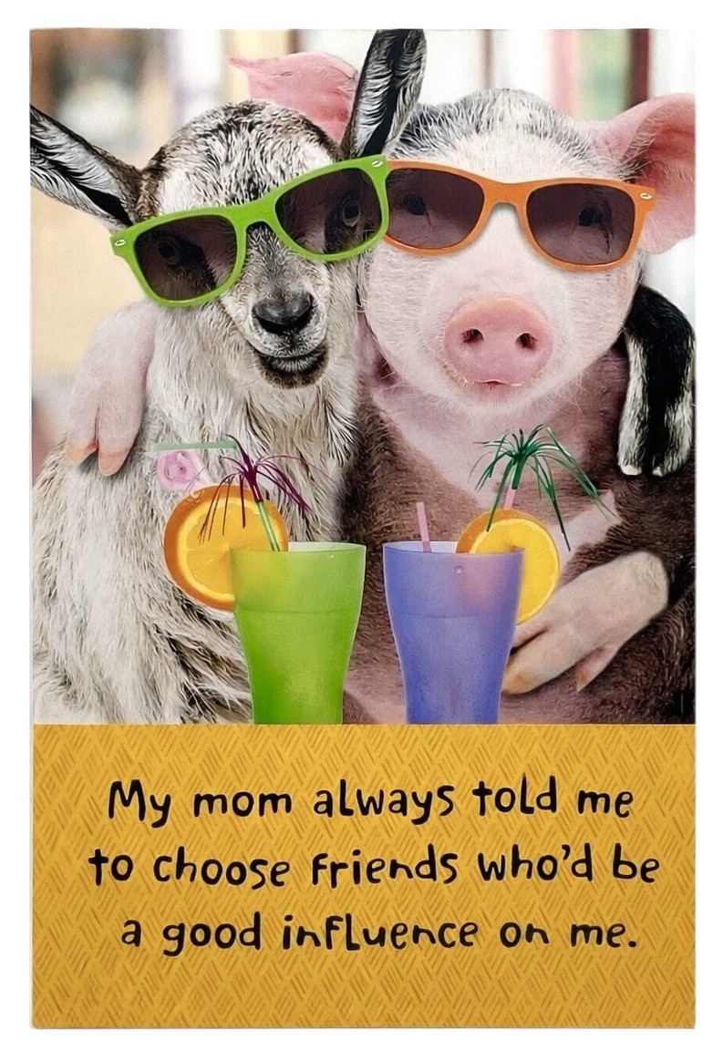 Friendship Card Funny Good Influence Pig & Kangaroo in Sunglasses Hallmark Card
