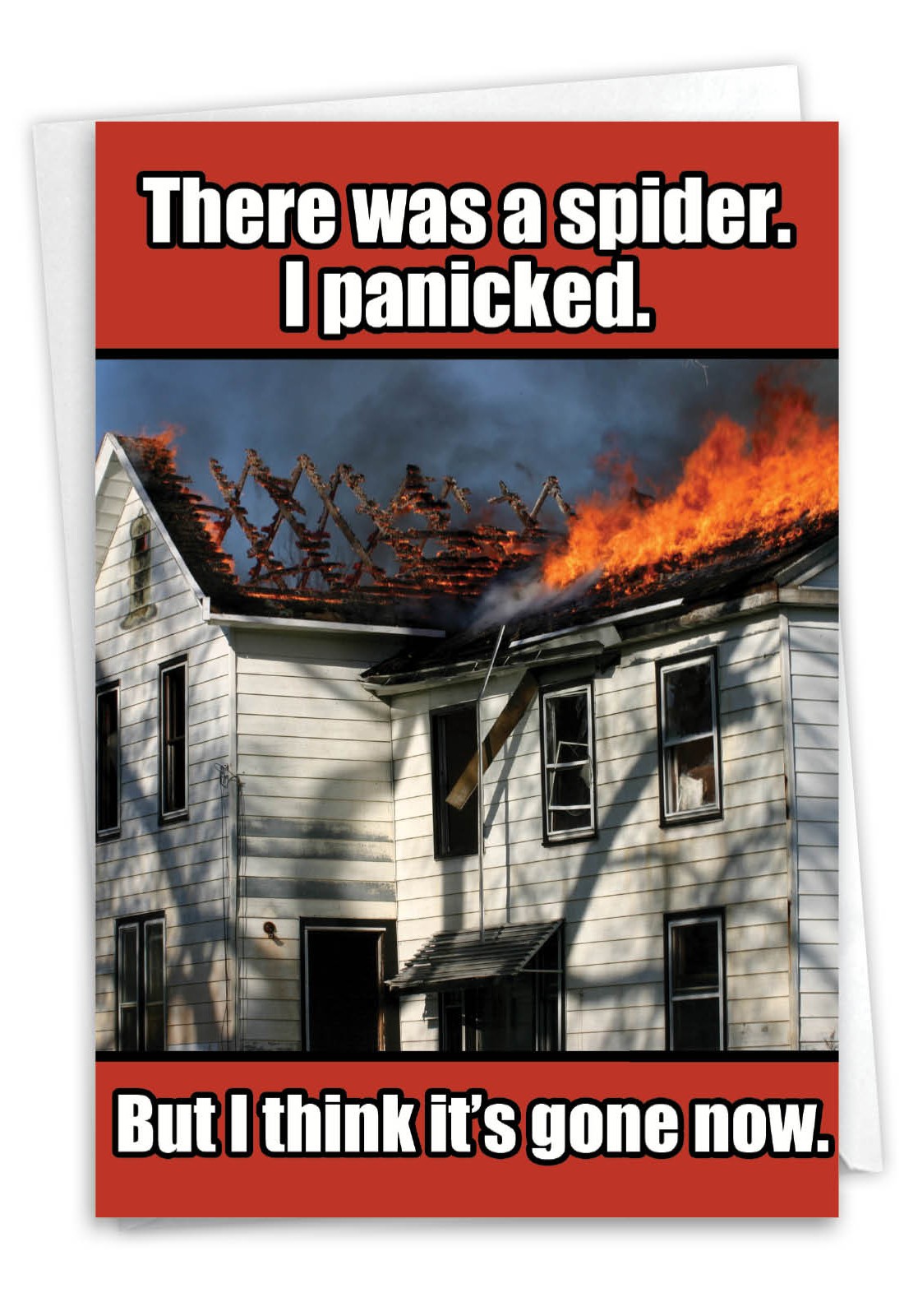 (1 Card) Spider is Gone – Funny Birthday Greeting Card – NobleWorks 9791