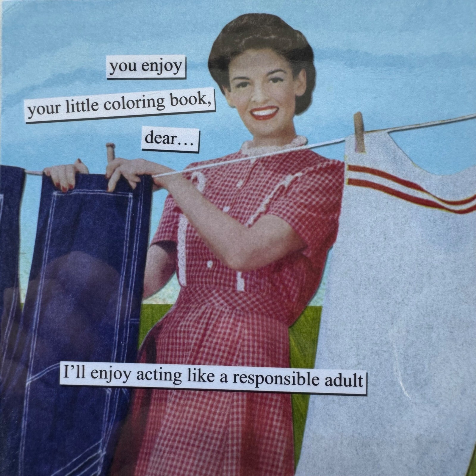 Anne Taintor All Occasion Happy Birthday Retro Greeting Card Clothesline 31834