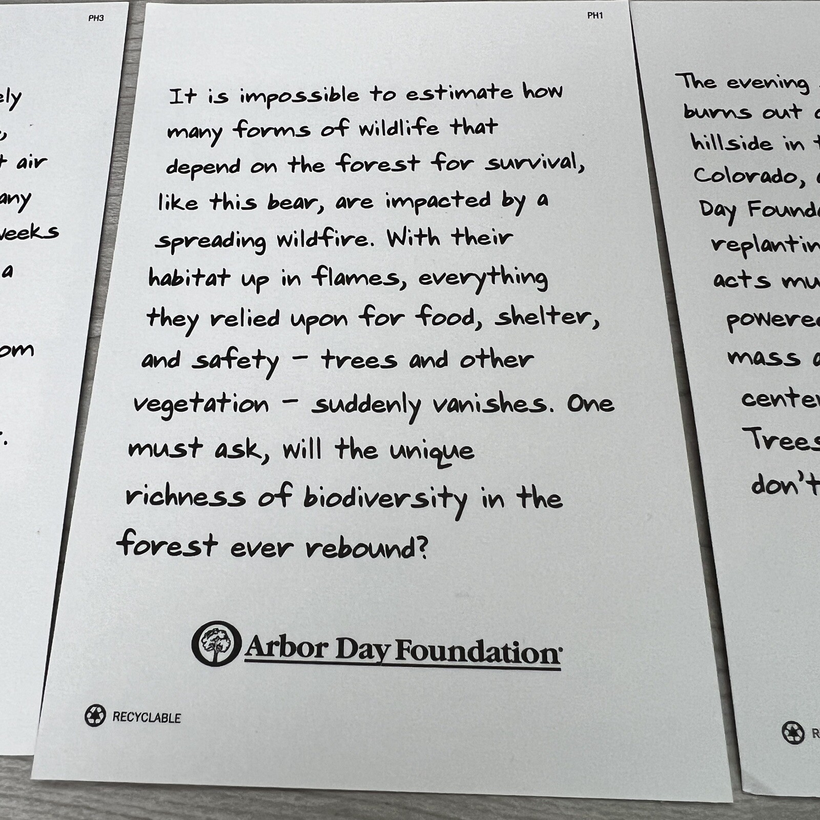 Lot of 3 Arbor Day Foundation PHOTOS 5.5″h x 3.75″w Bear Forest Fire New Cards