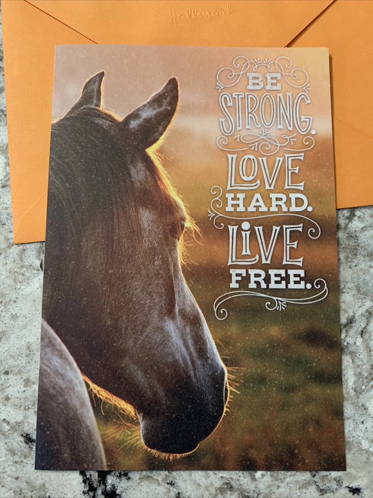 Birthday Be Strong, Love Hard, Live Free 5.5”x8” Hallmark Country Greeting Card