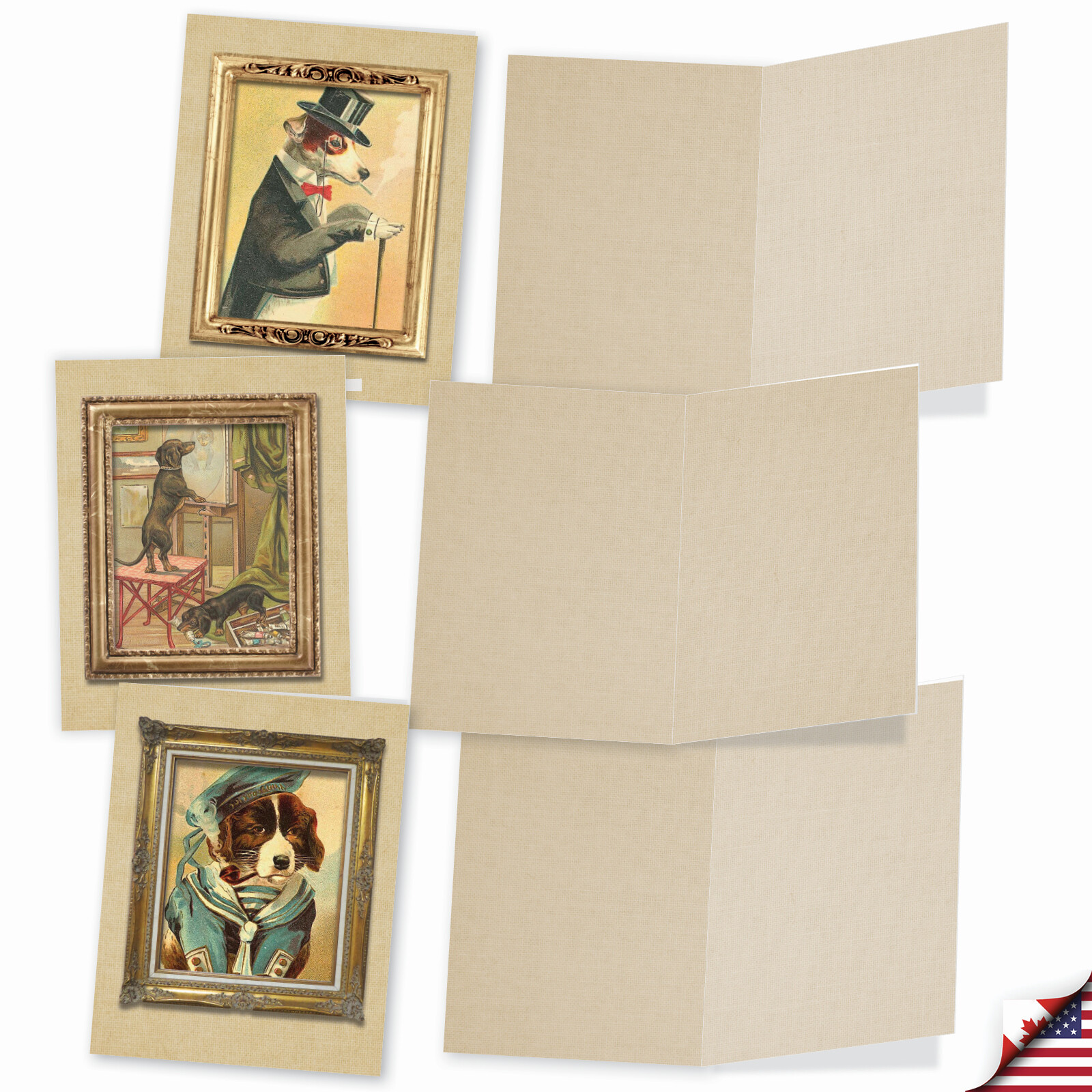 10 Assorted All Occasion Blank Note Cards with Envelopes – PUP PORTRAITS M1738BN