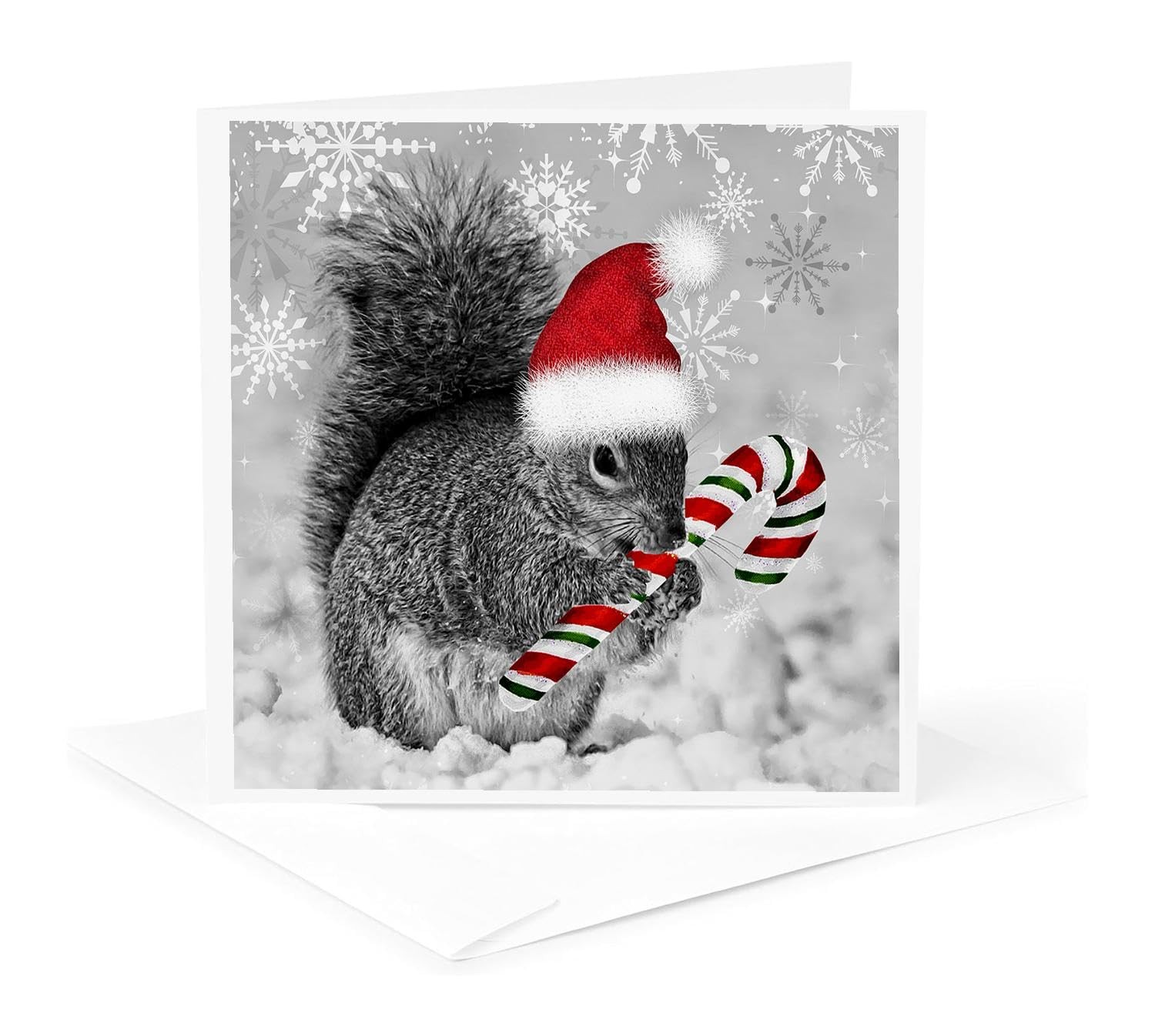 3dRose Christmas Squirrel Greeting Card 6×6 Candy Cane Santa Hat Snow