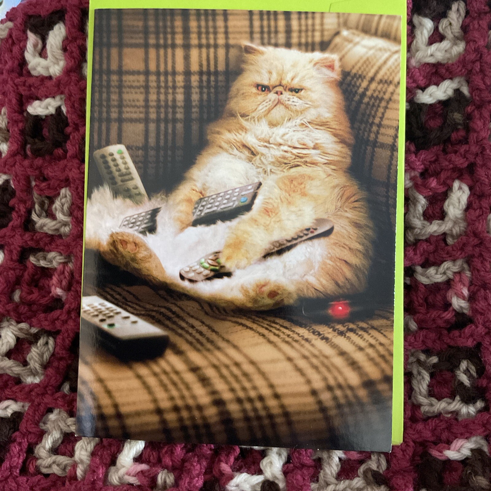 Avanti Press Cat With Remote Controls Humorous Funny Greeting Card W Envelope