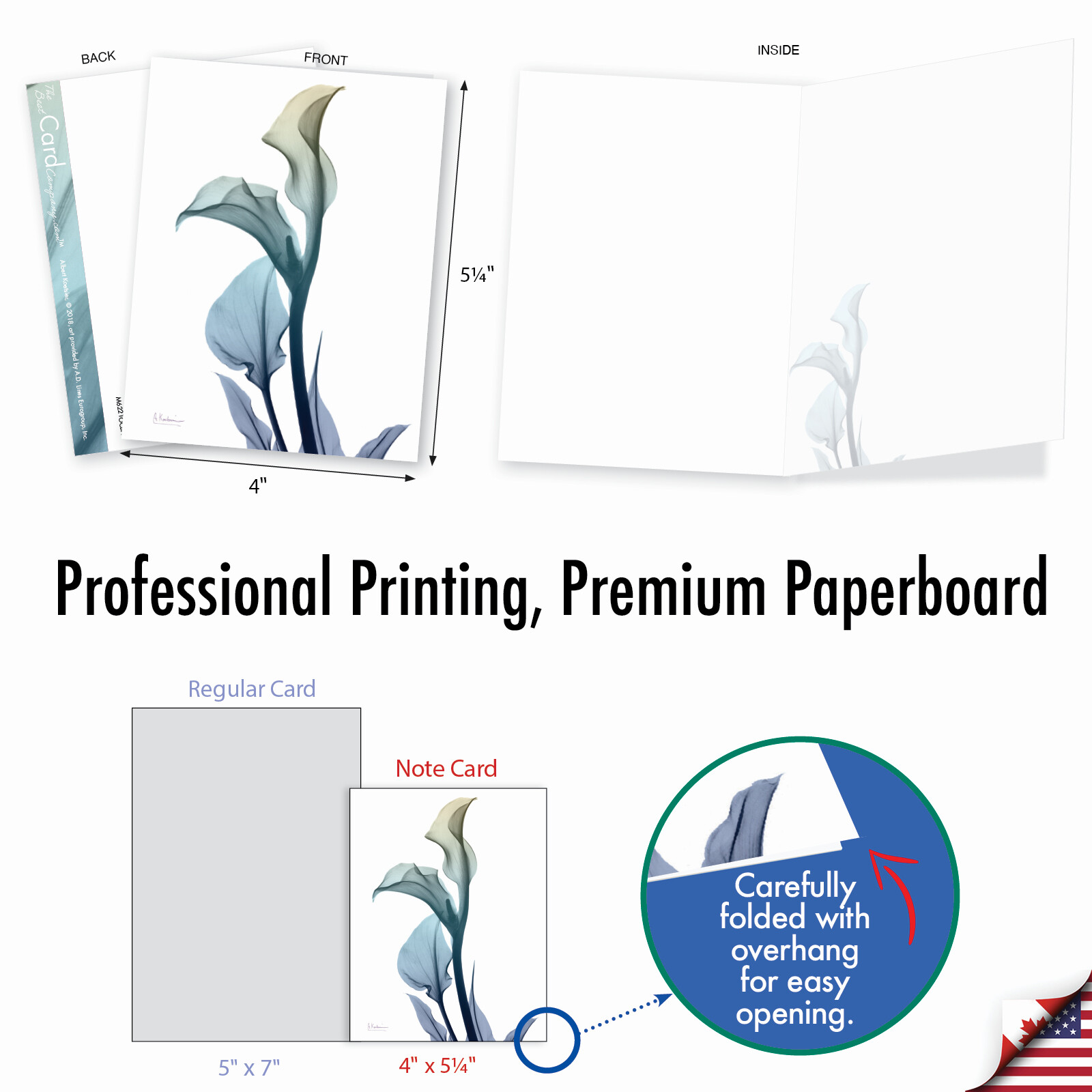 10 Blank All Occasion Cards Assorted – Blooming Expressions AM6221OCB-B1x10