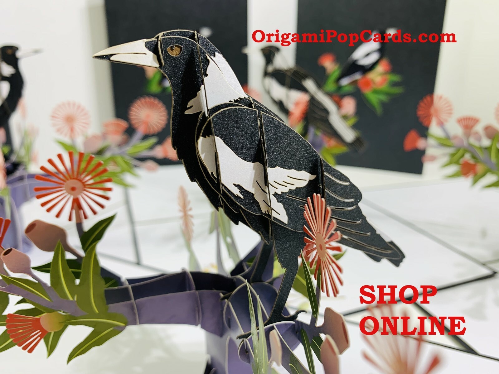 ORIGAMI POP CARDS Aussie Magpie Bird Native Gum Pop Greeting Card Happy Birthday