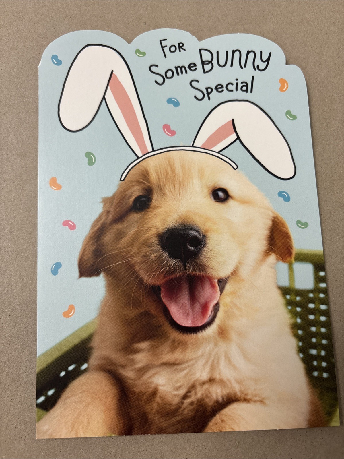 Easter Funny Cute Dog Some Bunny Special 5”x7” Hallmark Greeting Card