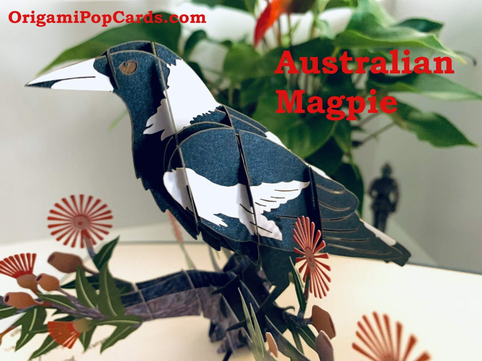 Australian Magpie Bird Native Wildflowers 3D Pop Up Greeting Card Happy Birthday