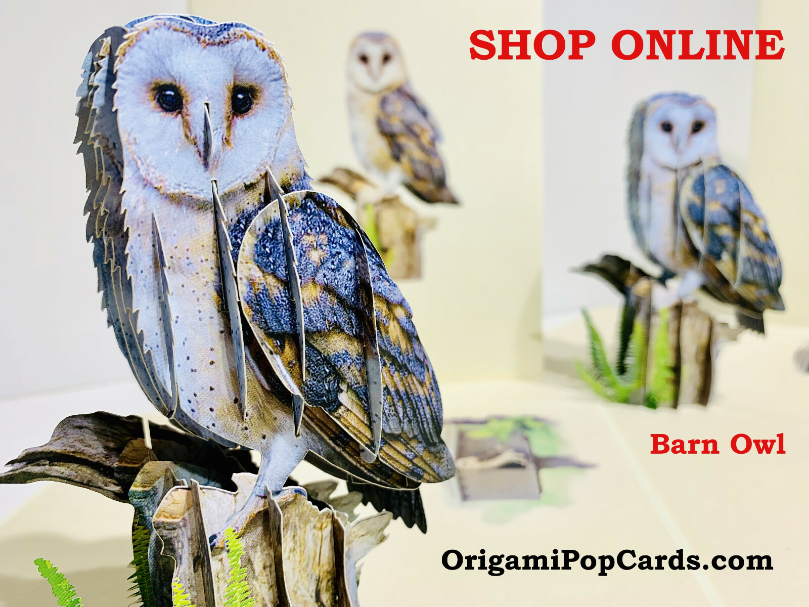 Origami Pop Cards Super Cute Barn Owl 3DPop Up Greeting Card Blank Fun Birthday