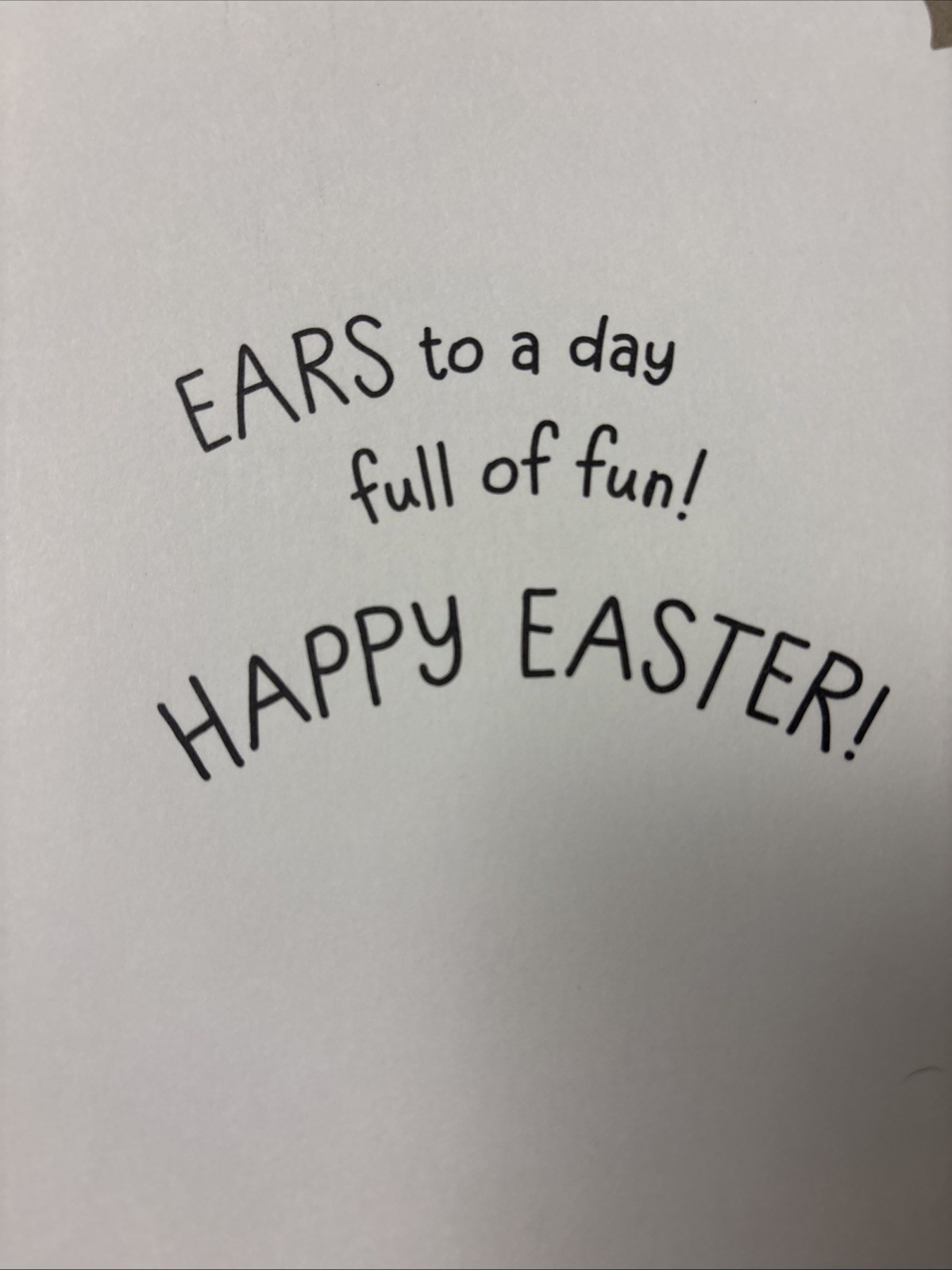 Easter Funny Cute Dog Some Bunny Special 5”x7” Hallmark Greeting Card