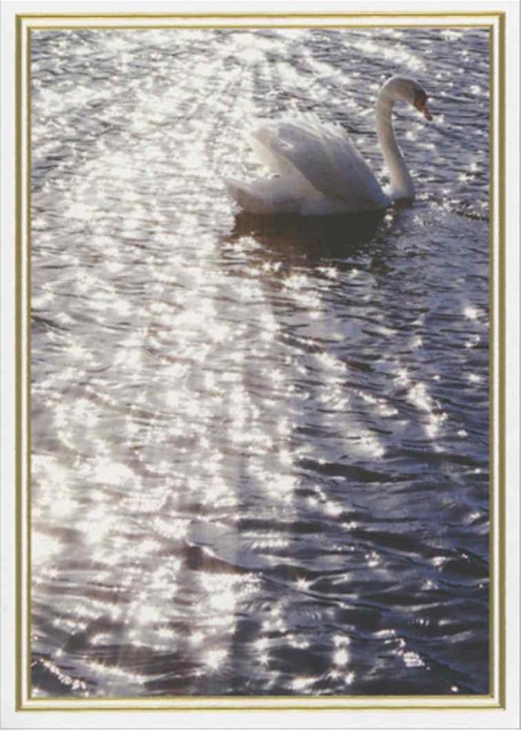 “Holding you in our hearts” AVANTI SYMPATHY CARD White Swan
