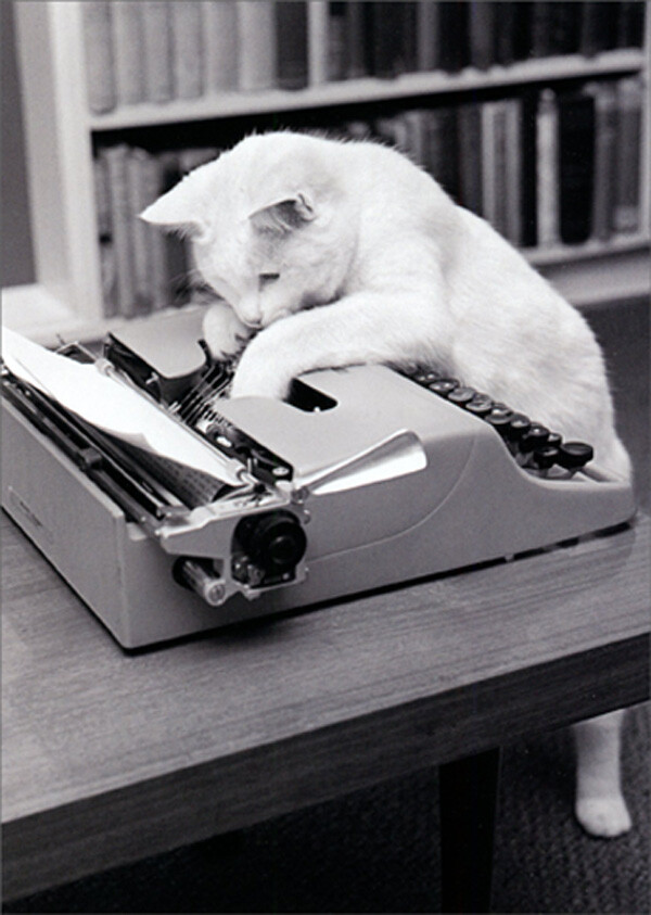 Avanti Press Typewriter Cat Humorous Funny Birthday Card