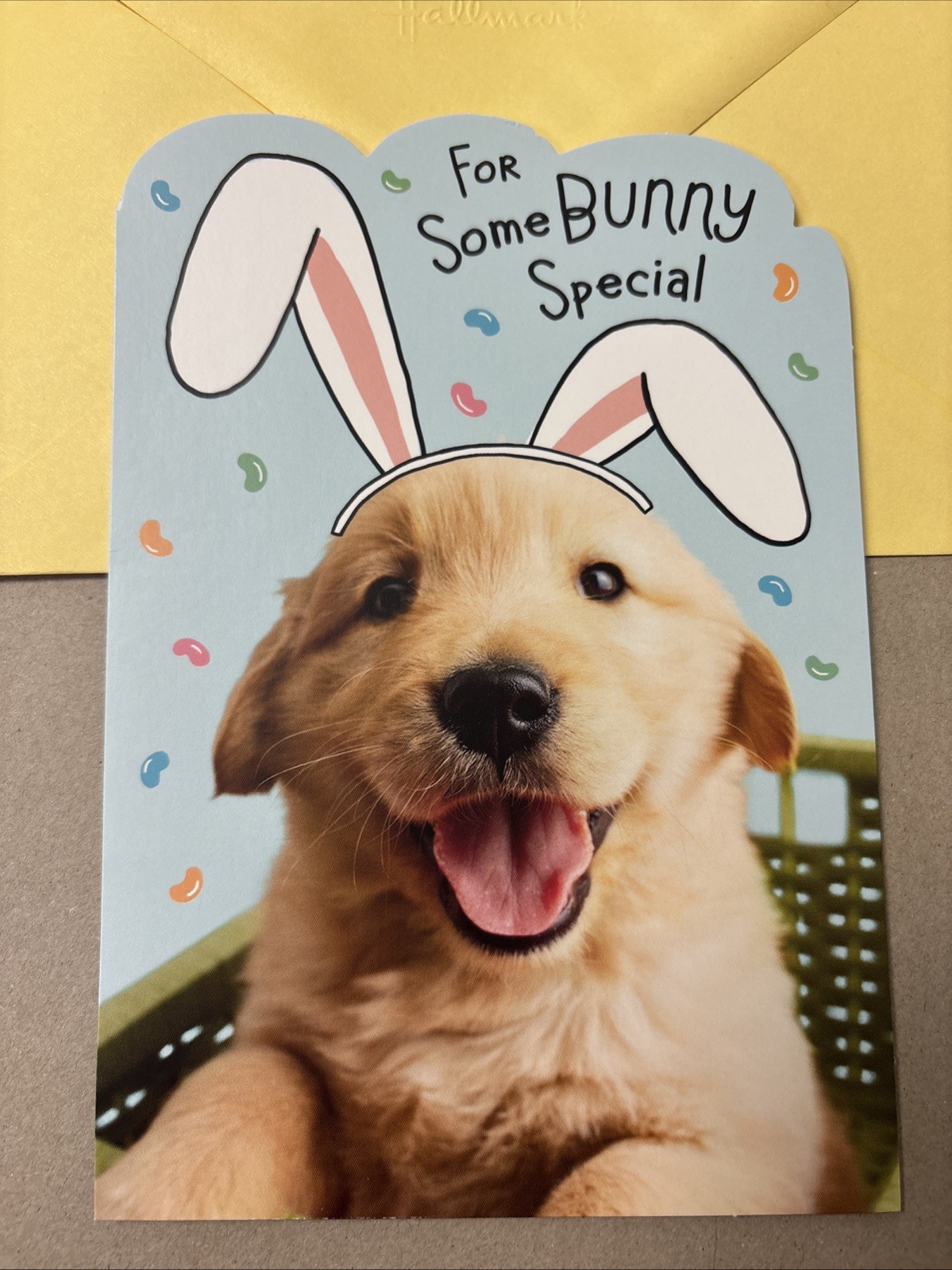 Easter Funny Cute Dog Some Bunny Special 5”x7” Hallmark Greeting Card