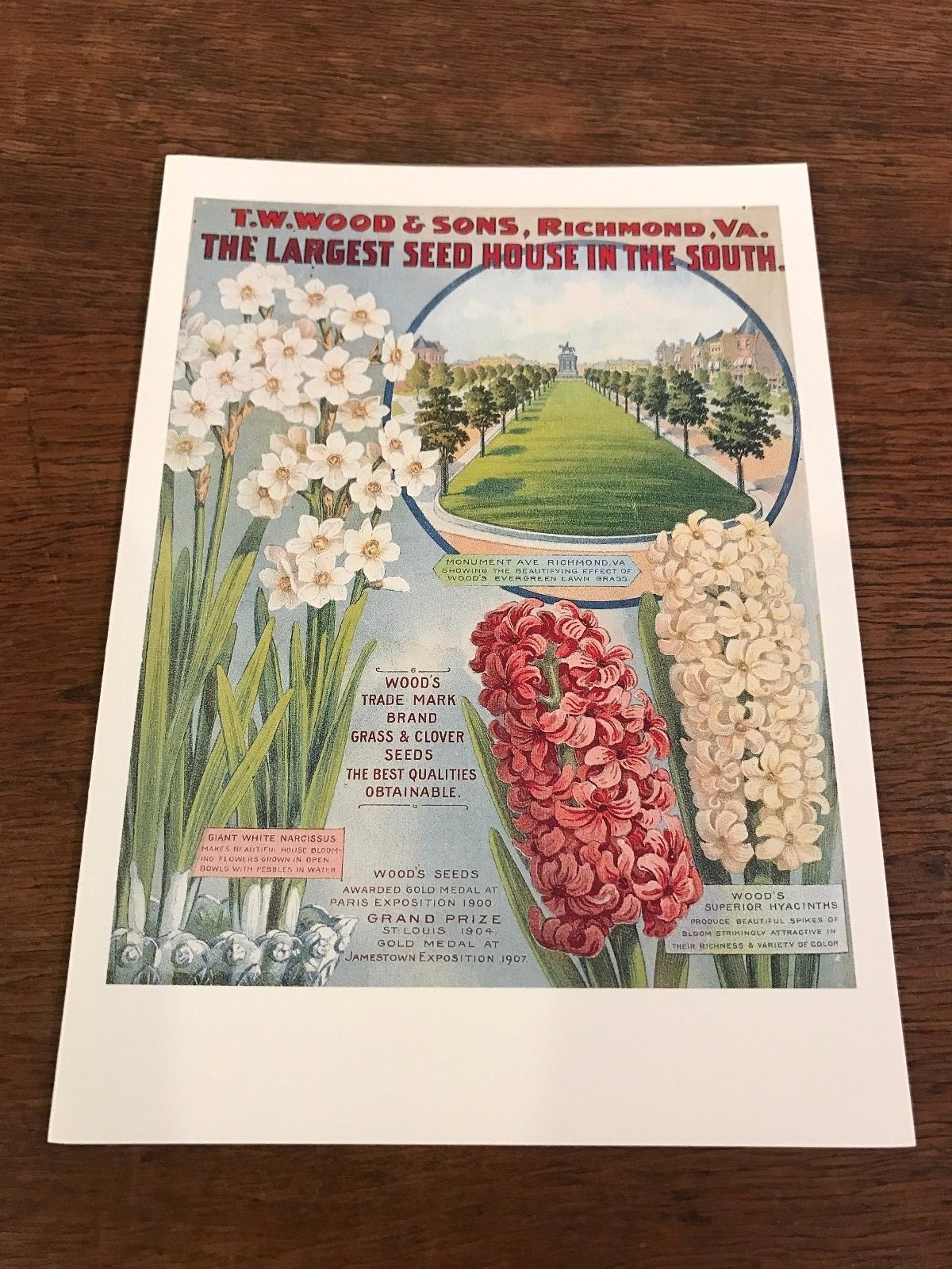 Reproduction T. W. Wood’s & Sons Largest Seed House Blank Greeting Note Card E1