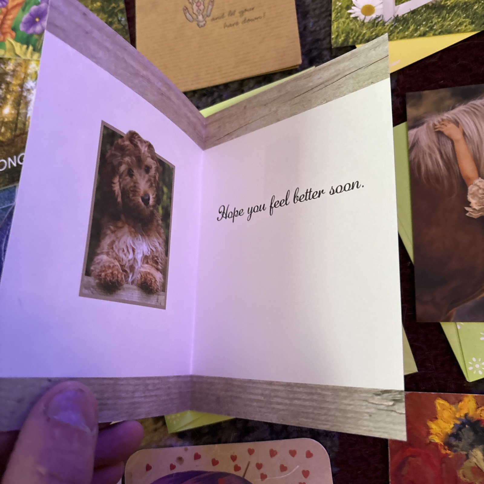 16 Greeting Cards Lot Happy Birthday Hallmark Arbor Day 1990’s – Now Animal Dog
