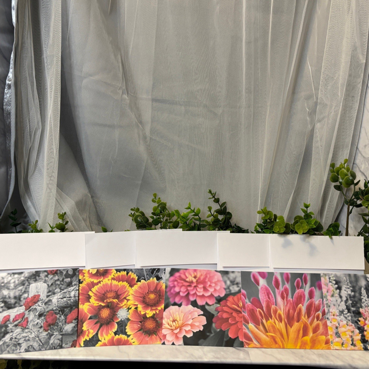 10 Floral Blank Greeting Cards with Envelopes | Vibrant Garden Flower Set