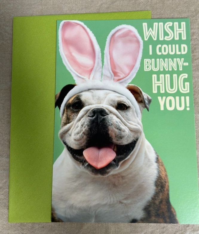 Happy Easter Greeting Card & Envelope ~ I Wish I could Bunny-hug You ~ Funny