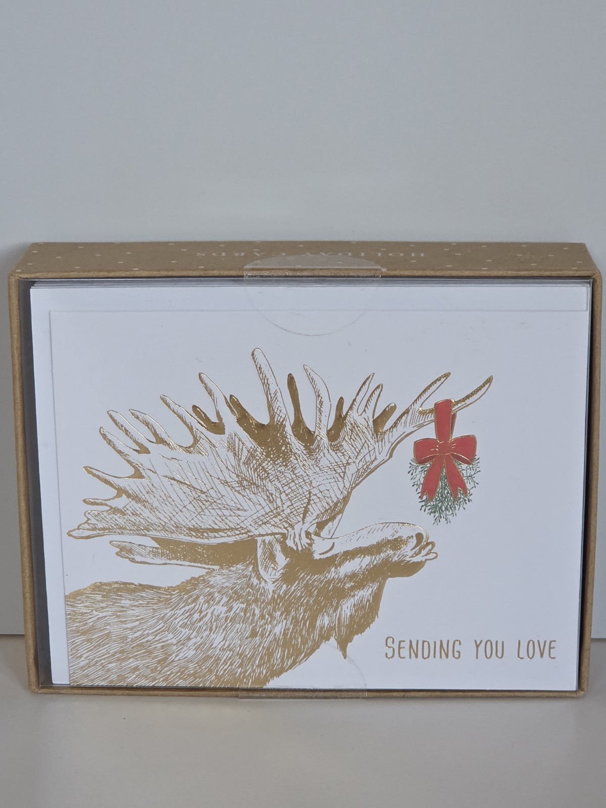 Graphique Moose Mistletoe 15Ct Boxed Christmas Greeting Cards Holiday Box Damage