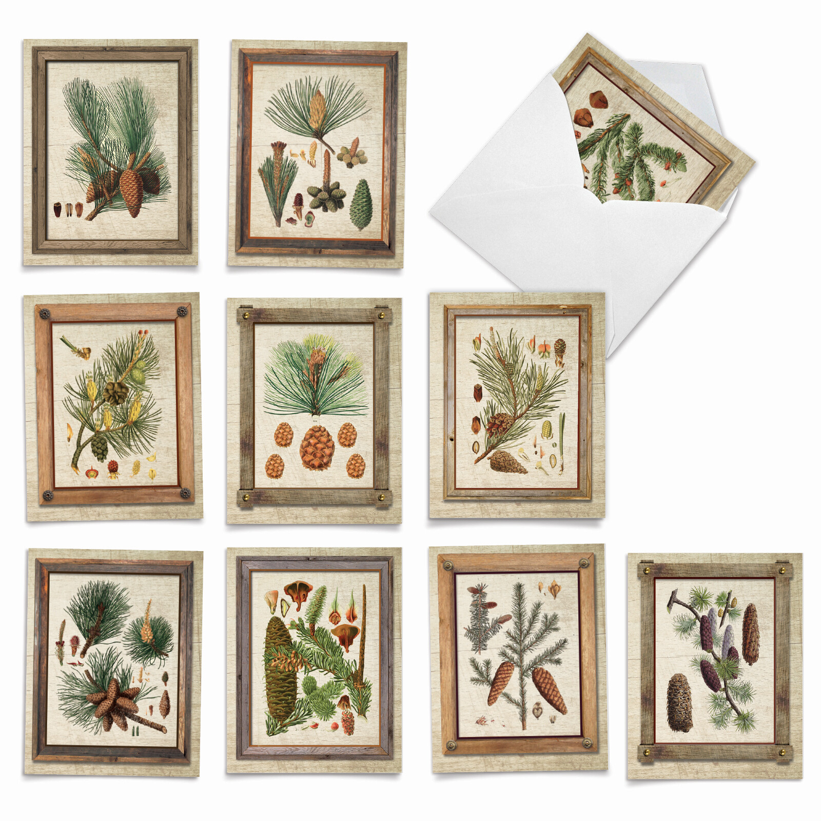 10 All Occasion Blank Cards Assortment – PINING FOR YOU M6462OCB