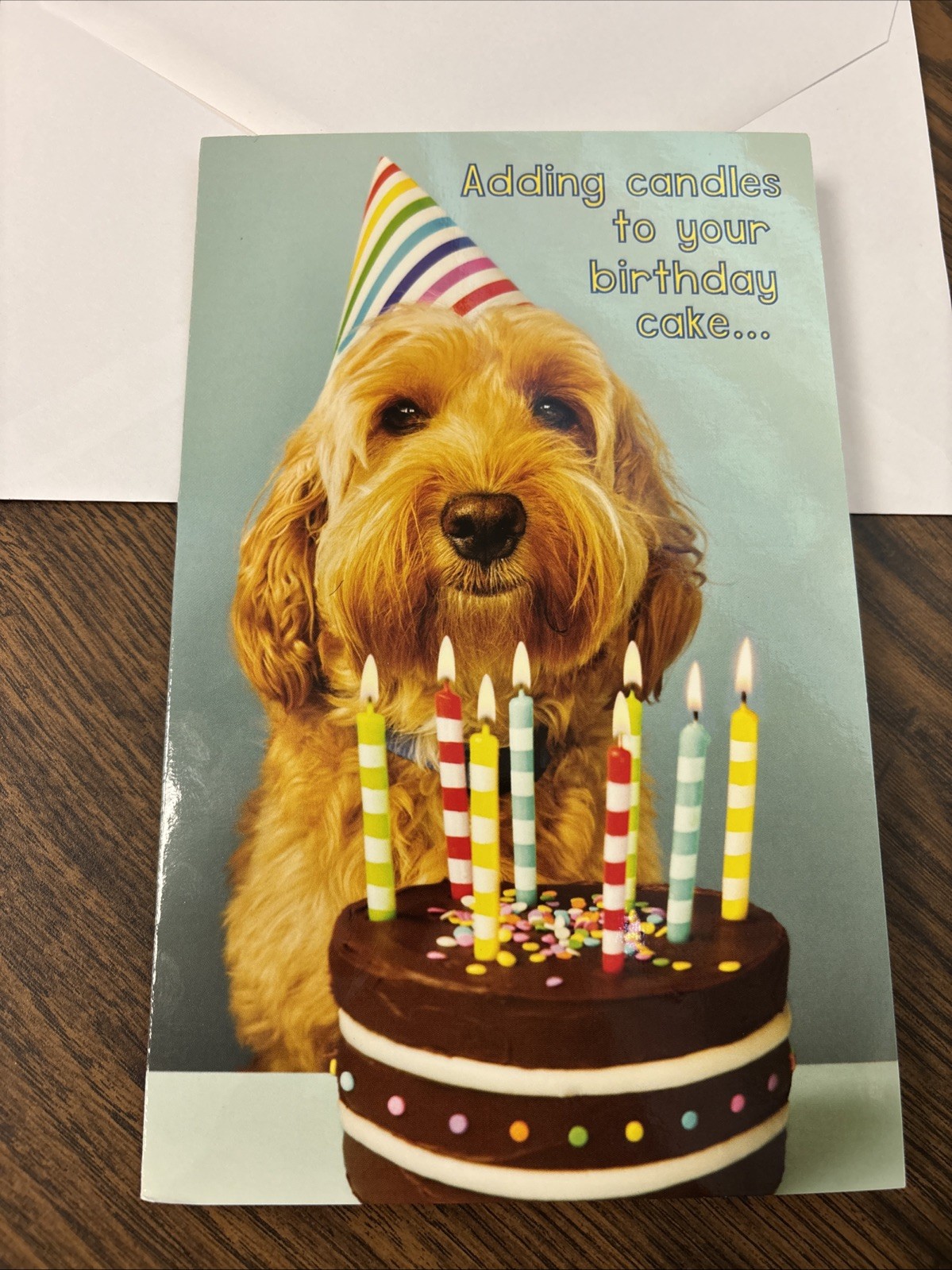 Birthday Funny Dog Candles Cake 5’x7.75″ Stockwell Greeting Card